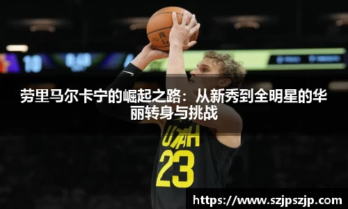 星空·综合体育官方网站