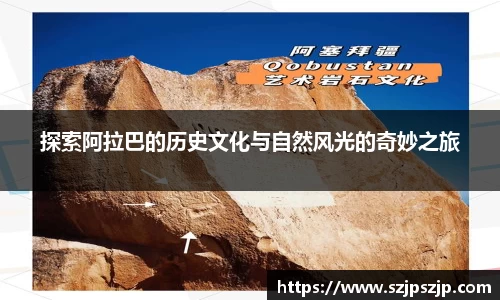 星空·综合体育官方网站