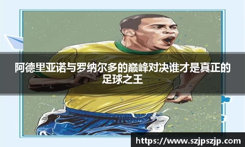 星空·综合体育官方网站